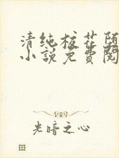 清纯校花堕落记小说免费阅读