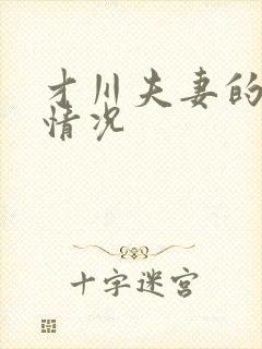 才川夫妻的恋爱情况