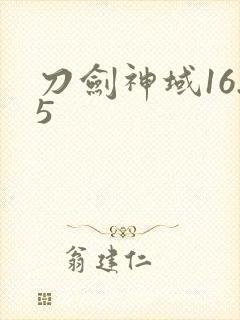 刀剑神域16.5