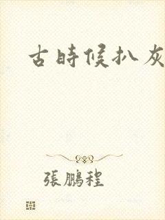 古时候扒灰小说