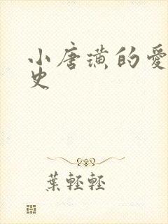 小唐璜的爱情历史