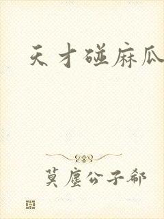 天才碰麻瓜封面