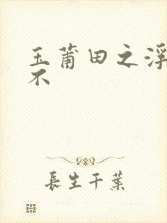 玉莆田之浮行天不封面