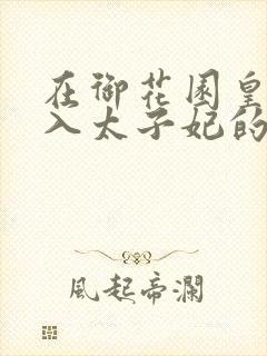 在御花园皇上进入太子妃的小说