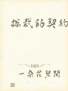 总裁的契约情人