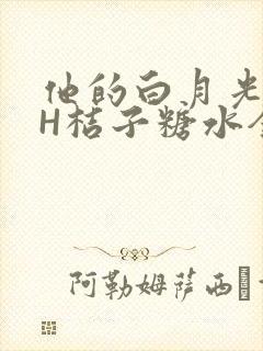 他的白月光HVH桔子糖水全文