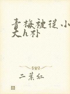 青梅被从小摸到大h补