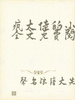 疯大佬的小玩物全文免费阅读小说