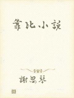 靠比小说封面