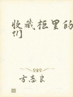 收藏柜里的男人们