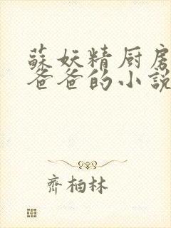 苏妖精厨房爹爹爸爸的小说封面