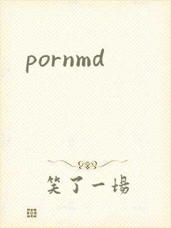 pornmd封面