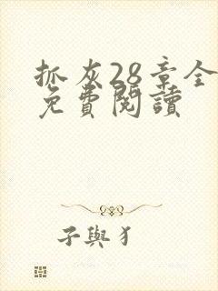 抓灰28章全部免费阅读封面