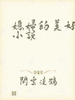 媳妇的美好时代小说