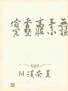 偷香高手无删减完整版小说