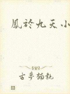 凤于九天小说