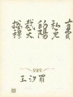 总裁的私有宝贝穆天阳免费