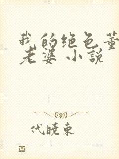 我的绝色董事长老婆 小说