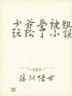 少爷受被粗汉H玩松了小说