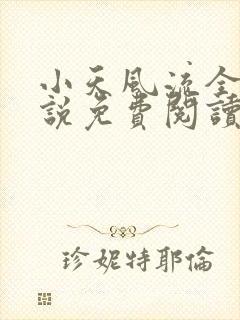小天风流全集小说免费阅读