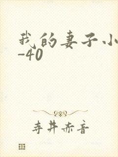 我的妻子小谨1-40