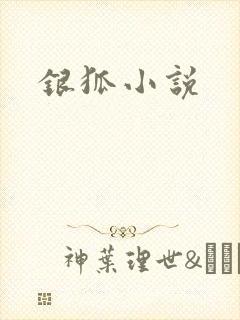 银狐小说