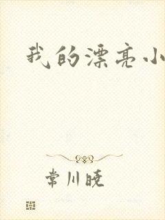 我的漂亮小后妈