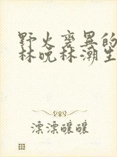 野火变异的父爱林晚林潮生