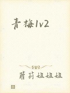 青梅1v2