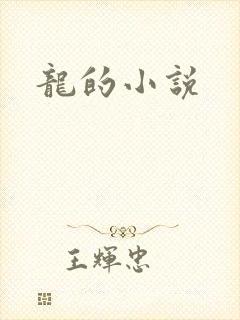 龙的小说