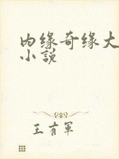 内缘奇缘大团圆小说封面