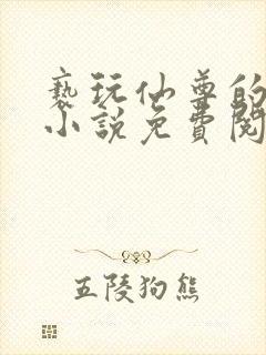 亵玩仙尊的道侣小说免费阅读封面