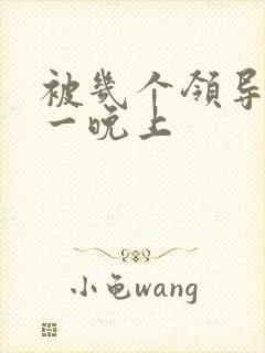 被几个领导玩弄一晚上