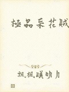 极品采花贼