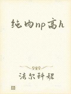 纯肉np高h