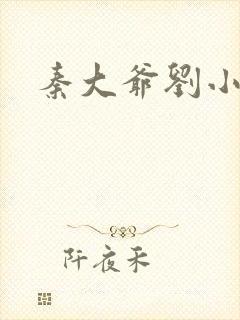 秦大爷刘小静封面