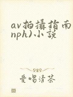 av拍摄指南(nph)小说