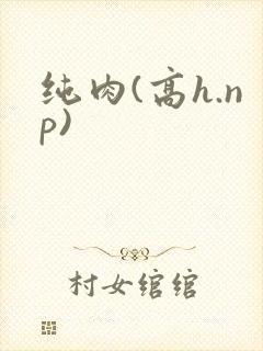 纯肉(高h.np)
