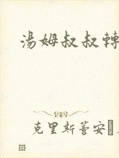 汤姆叔叔转接口