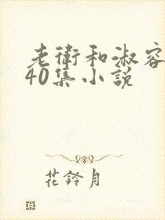 老卫和淑容1-40集小说