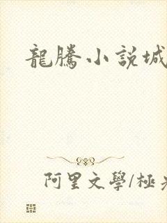 龙腾小说城