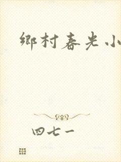 乡村春光小说封面