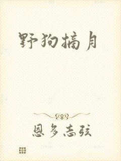 野狗摘月