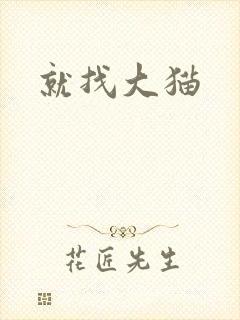 就找大猫