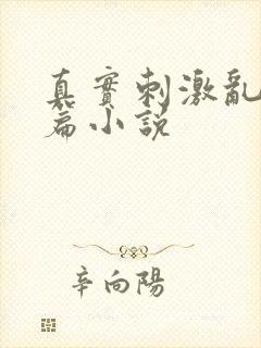 真实刺激乱13篇小说封面