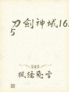 刀剑神域16.5