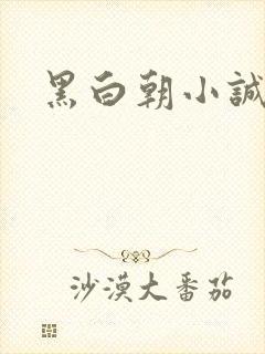 黑白朝小诚封面