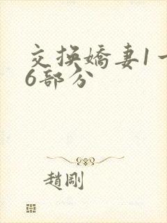 交换娇妻1一36部分
