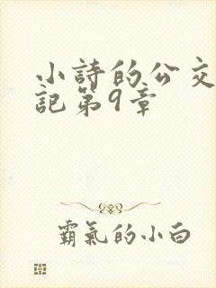 小诗的公交车日记第9章