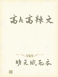 高h高辣文封面